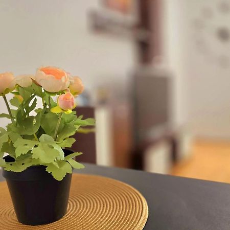 Apartament Confort Hd Hunedoara Zewnętrze zdjęcie