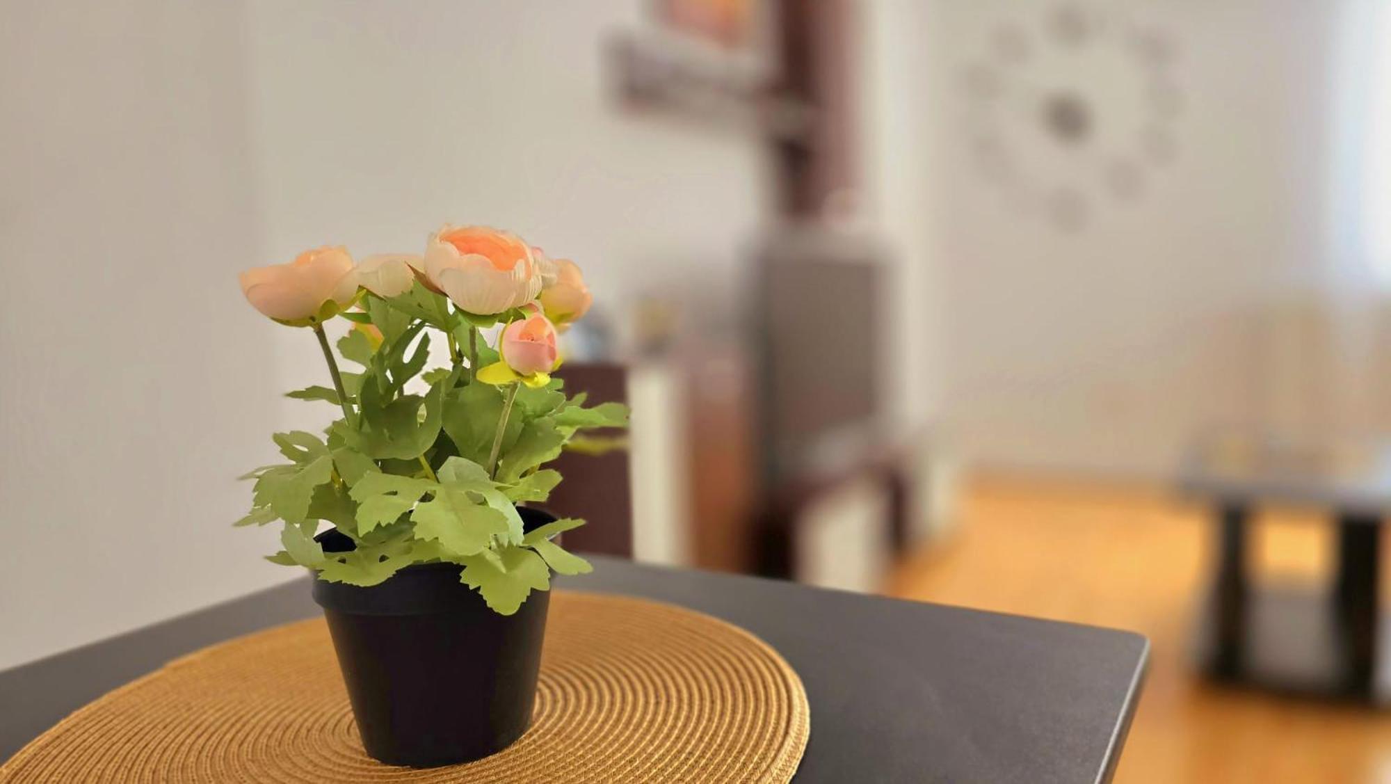 Apartament Confort Hd Hunedoara Zewnętrze zdjęcie